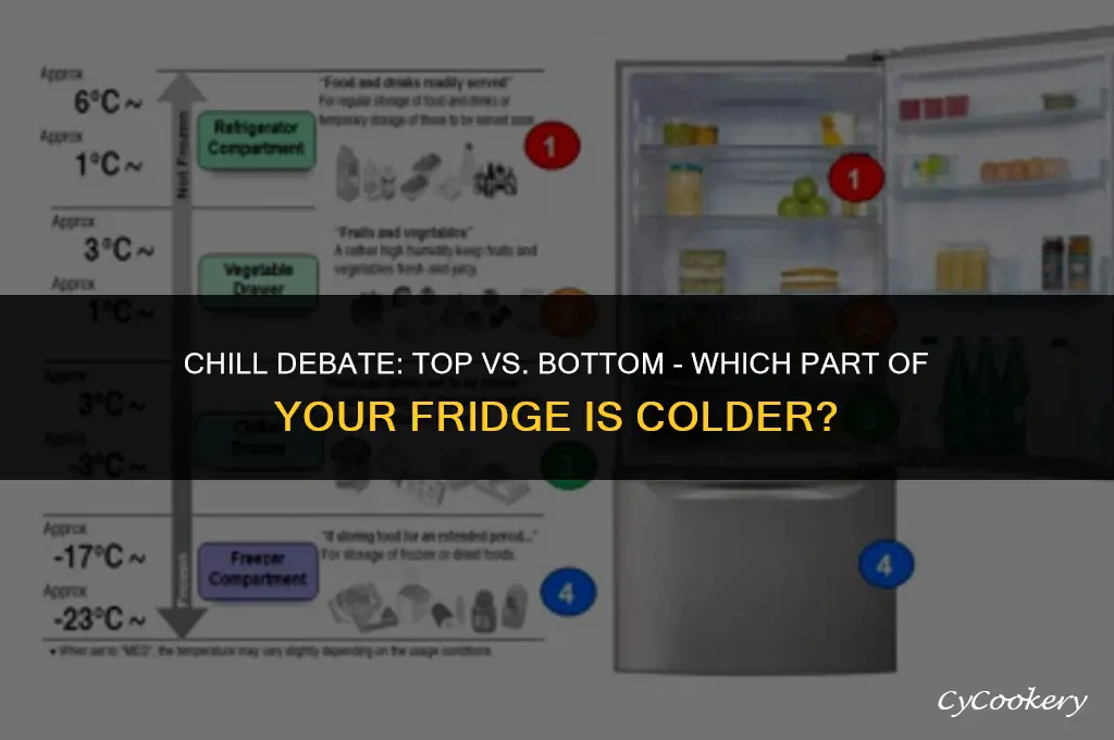 is the top or the bottom of refrigerator coldest