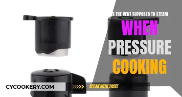 Steamy Vents: Pressure Cooking and the Mystery of Steaming Vents