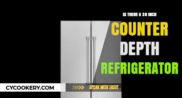 Compact Kitchen Solutions: Finding the Perfect 30-Inch Counter Depth Refrigerator