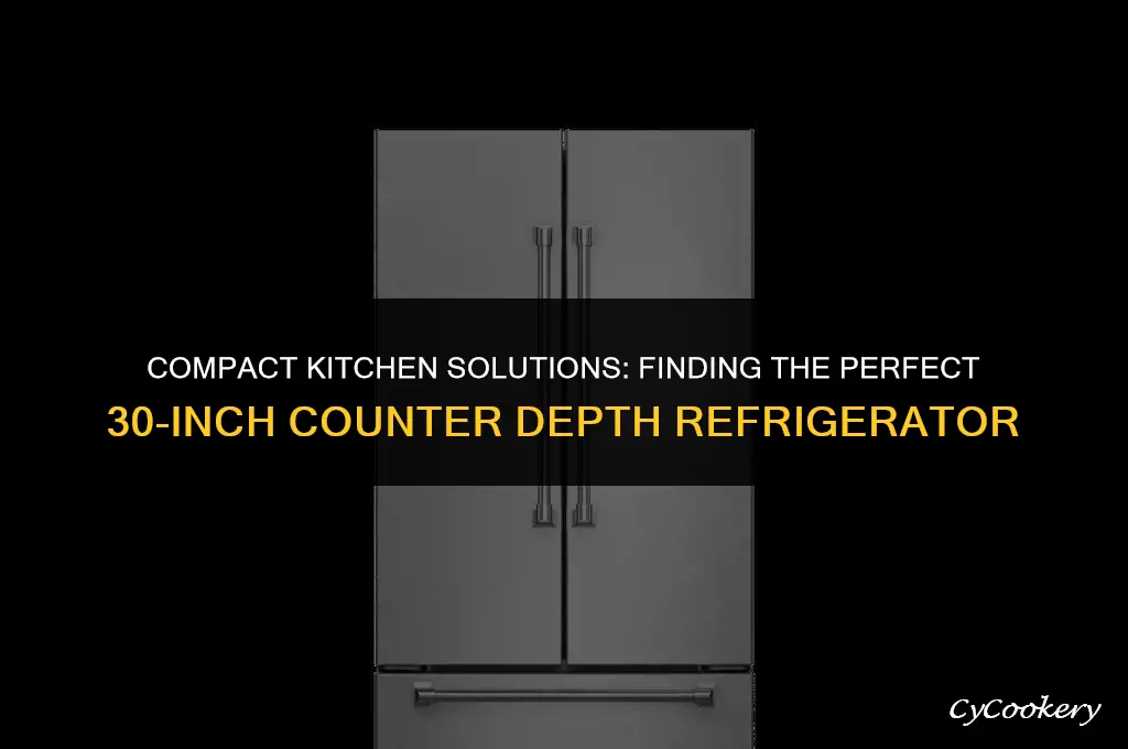 is there a 30 inch counter depth refrigerator
