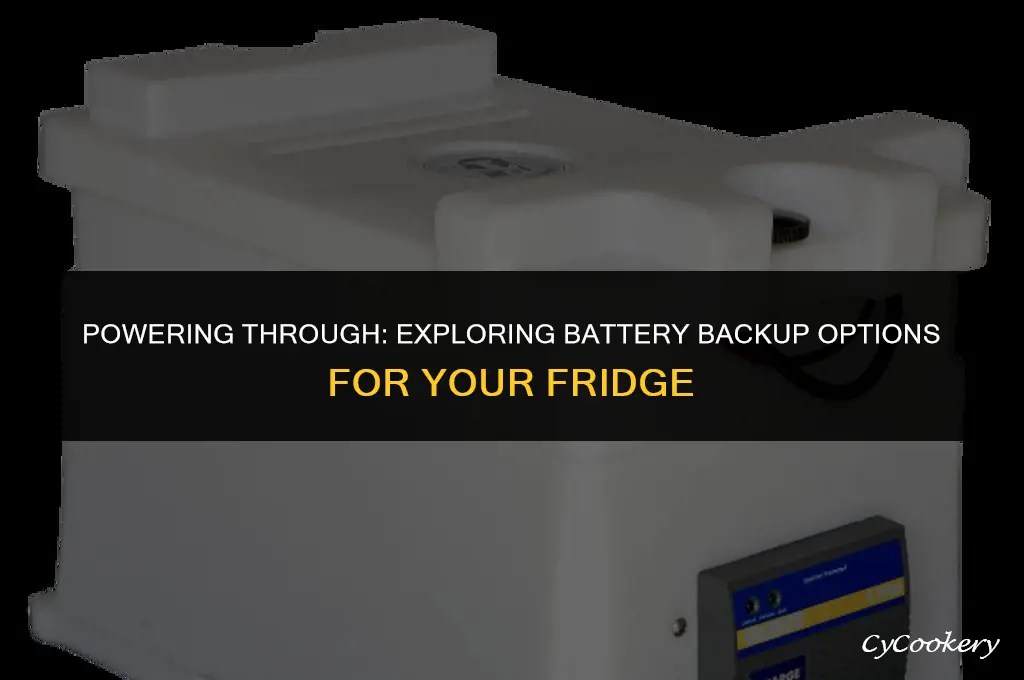 is there a battery backup for a refrigerator