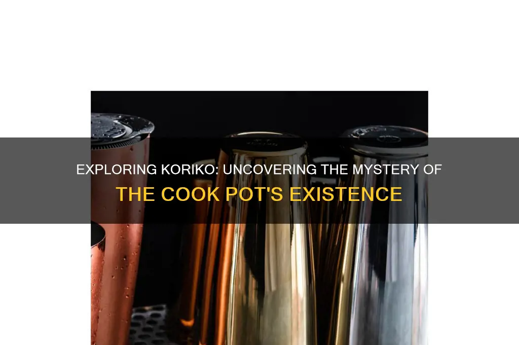 is there a cook pot in koriko