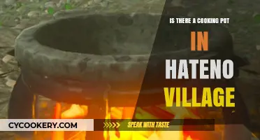 Exploring Hateno Village: Discovering the Cooking Pot's Hidden Location