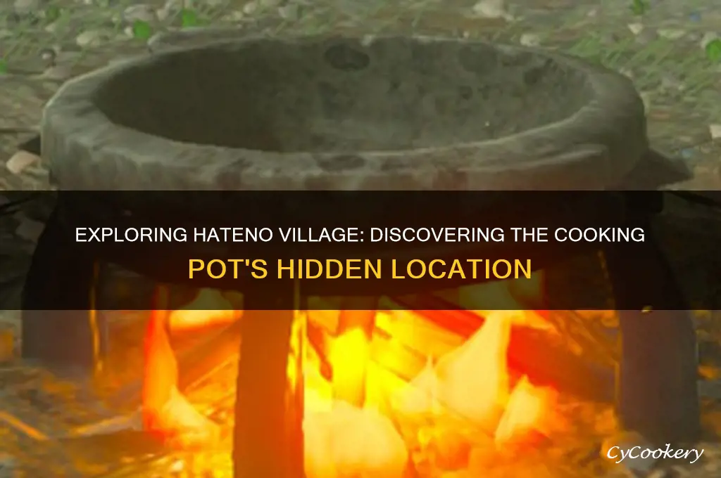 is there a cooking pot in hateno village