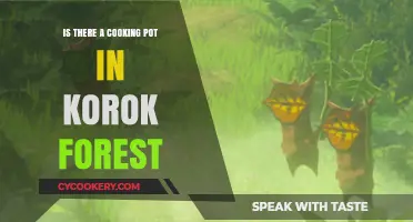 Exploring Korok Forest: Uncovering the Mystery of the Cooking Pot