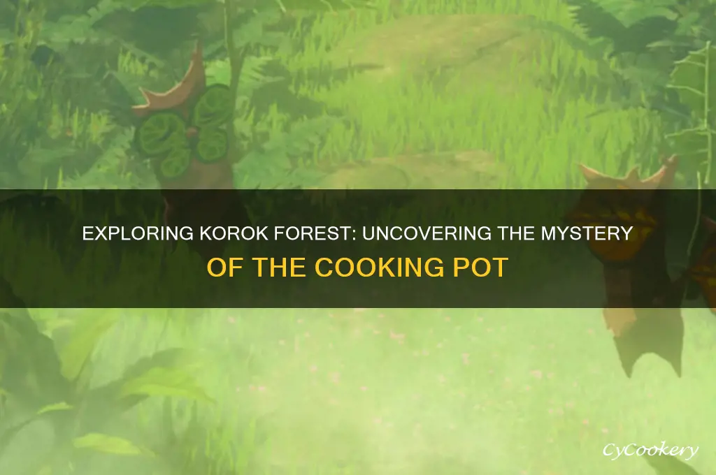 is there a cooking pot in korok forest