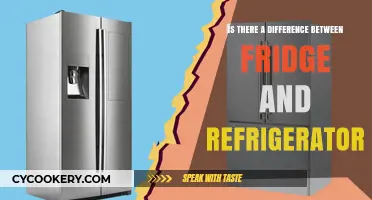 Exploring the Chill: Fridge vs. Refrigerator - What's the Difference?