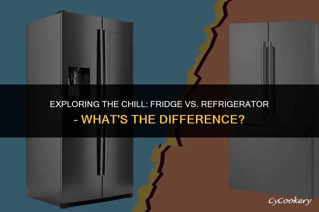 is there a difference between fridge and refrigerator