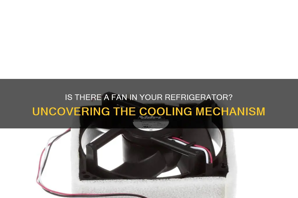 is there a fan in the refrigerator