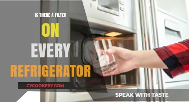 Do All Refrigerators Come with a Built-In Water Filter?