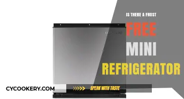 Frost-Free Mini Fridges: Do They Exist? A Comprehensive Guide