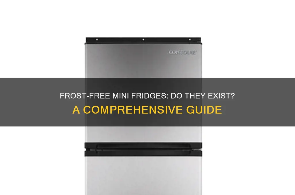 is there a frost free mini refrigerator