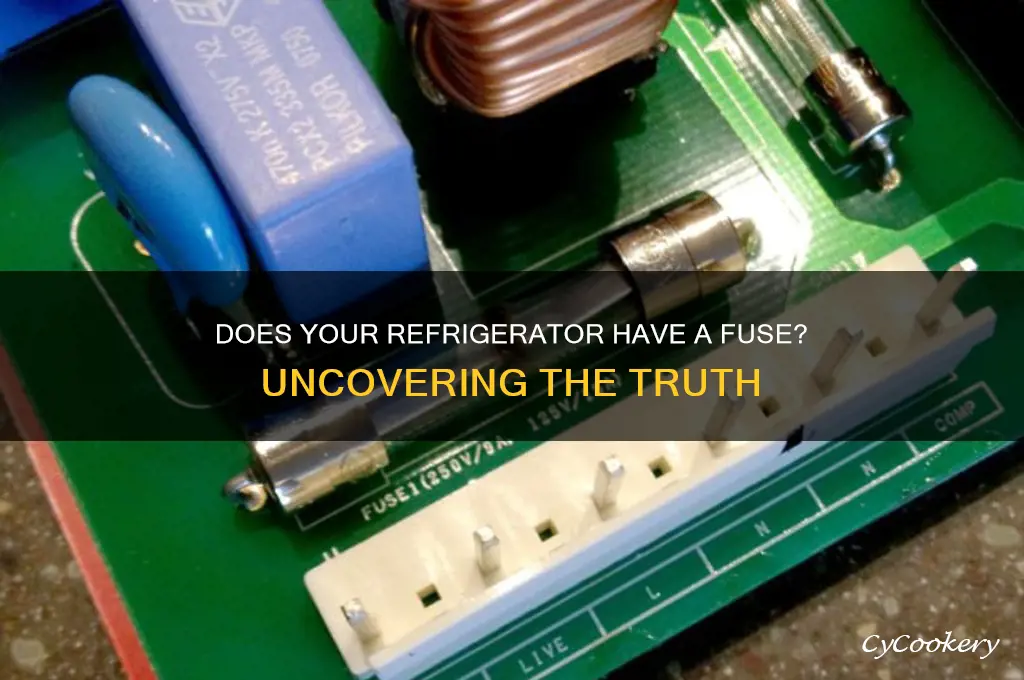is there a fuse in a refrigerator