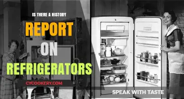 The Evolution of Refrigerators: Uncovering Their Historical Journey and Impact