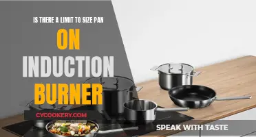 Induction Burners: Pan Size Limit?