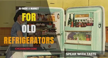 Reviving Old Fridges: Exploring the Market for Vintage Refrigerators