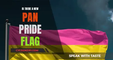 The Evolution of the Pan Pride Flag