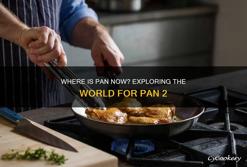 is there a pan 2