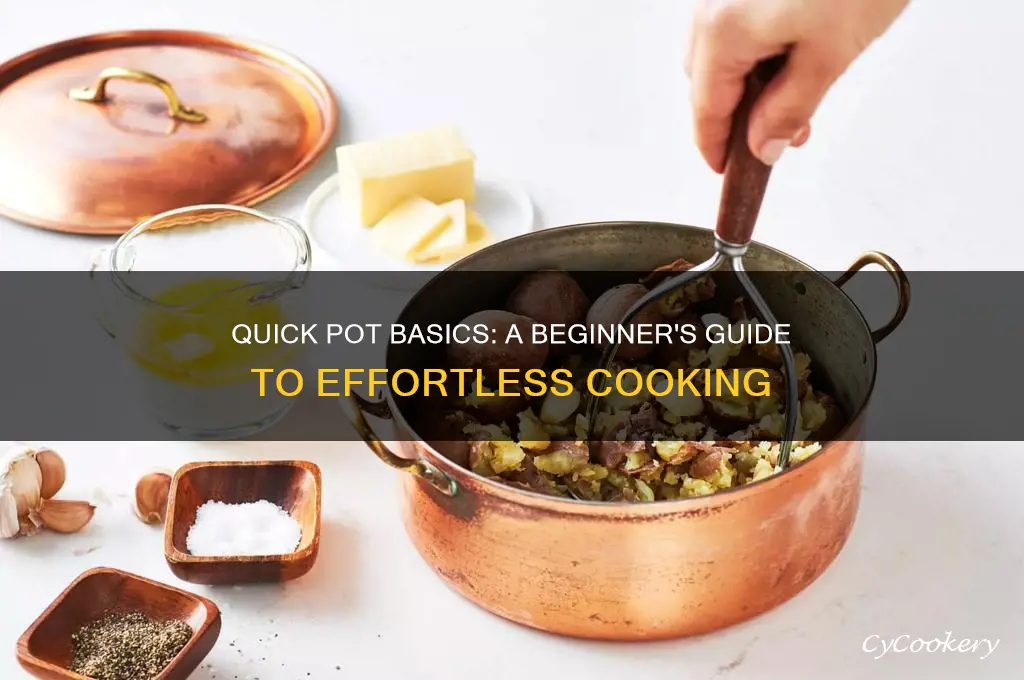 is there a quick pot basic how to cook book