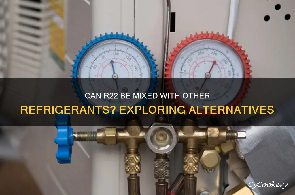 is there a refrigerant that can be mixed with r22