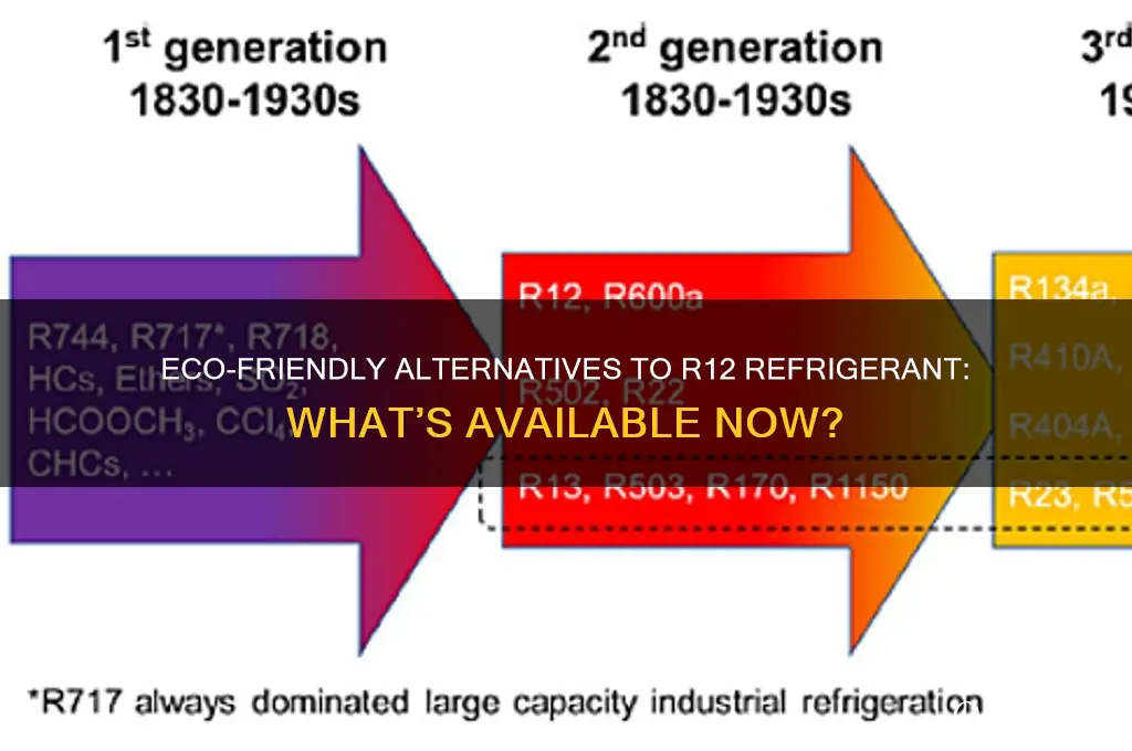 is there a replacement for r12 refrigerant