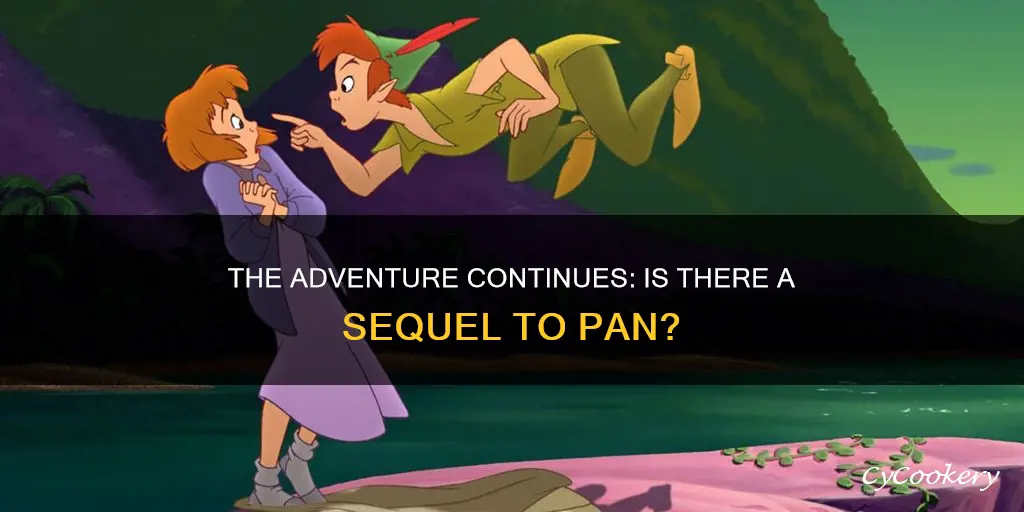 is there a sequel to pan