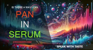 Explore Panning in Serum: A Guide to Navigating the DAW
