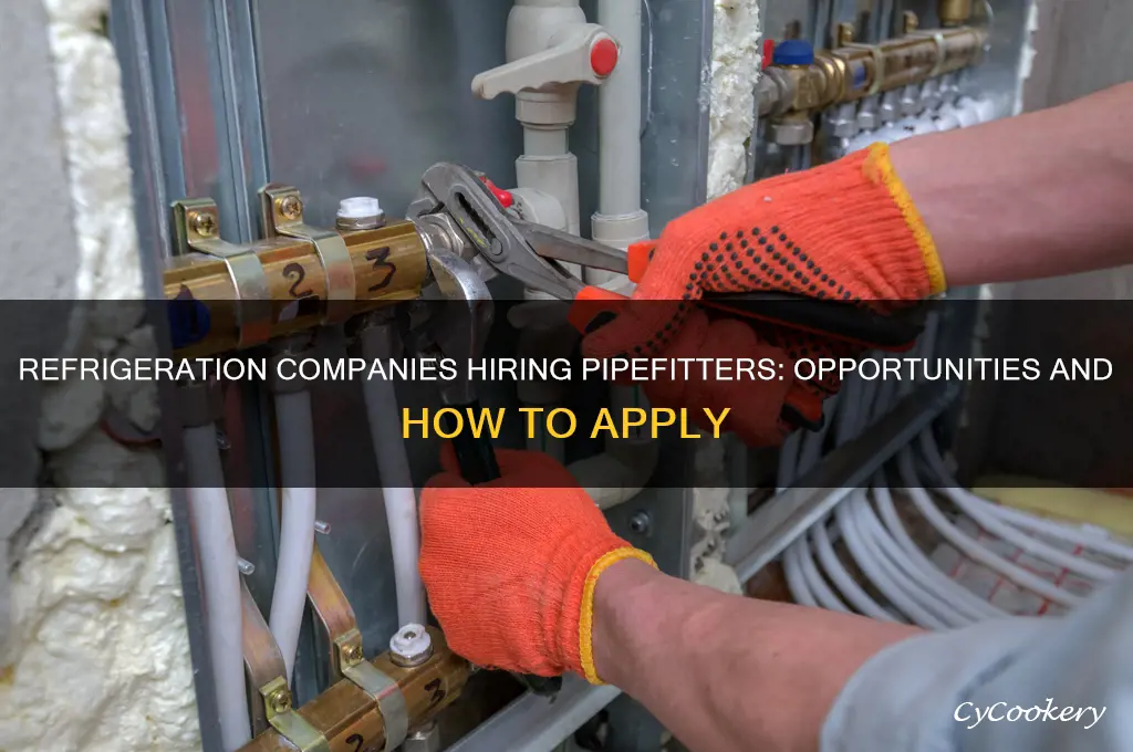 is there any refrigeration companies hiring pipefitters