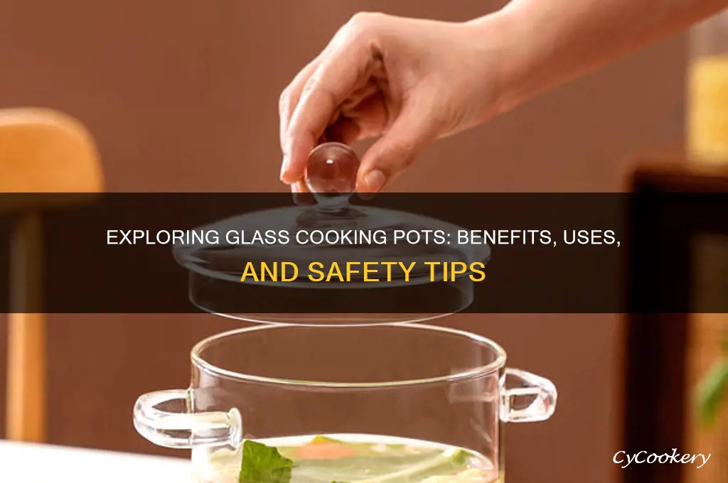 is there glass cooking pot