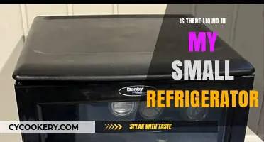 Is Your Small Fridge Leaking? How to Check for Liquid Inside