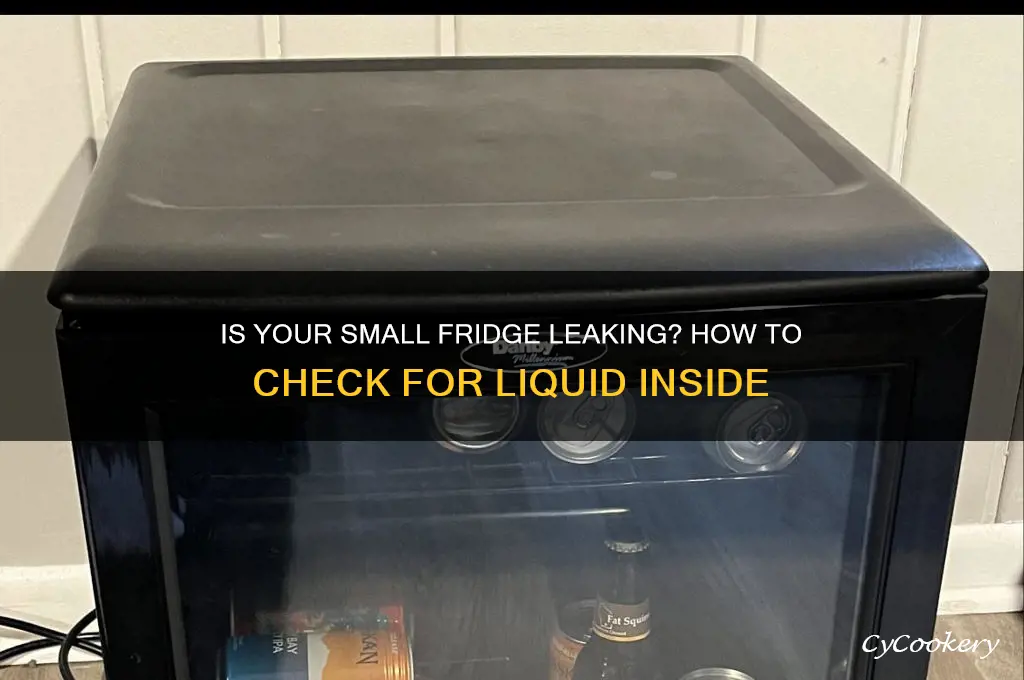 is there liquid in my small refrigerator