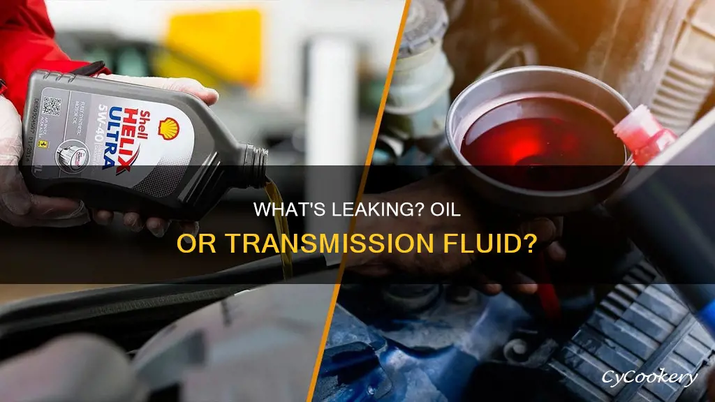 is there more oil or transmission fluid in the pan