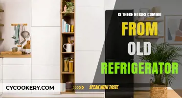 Old Refrigerator Noises: Causes, Concerns, and Quick Fixes Explained