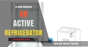 Does Your Active Refrigerator Contain Oxygen? Exploring the Science Inside