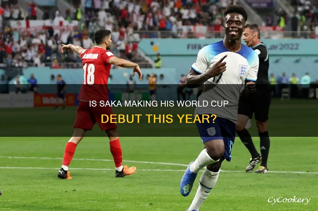 is this sakas first world cup
