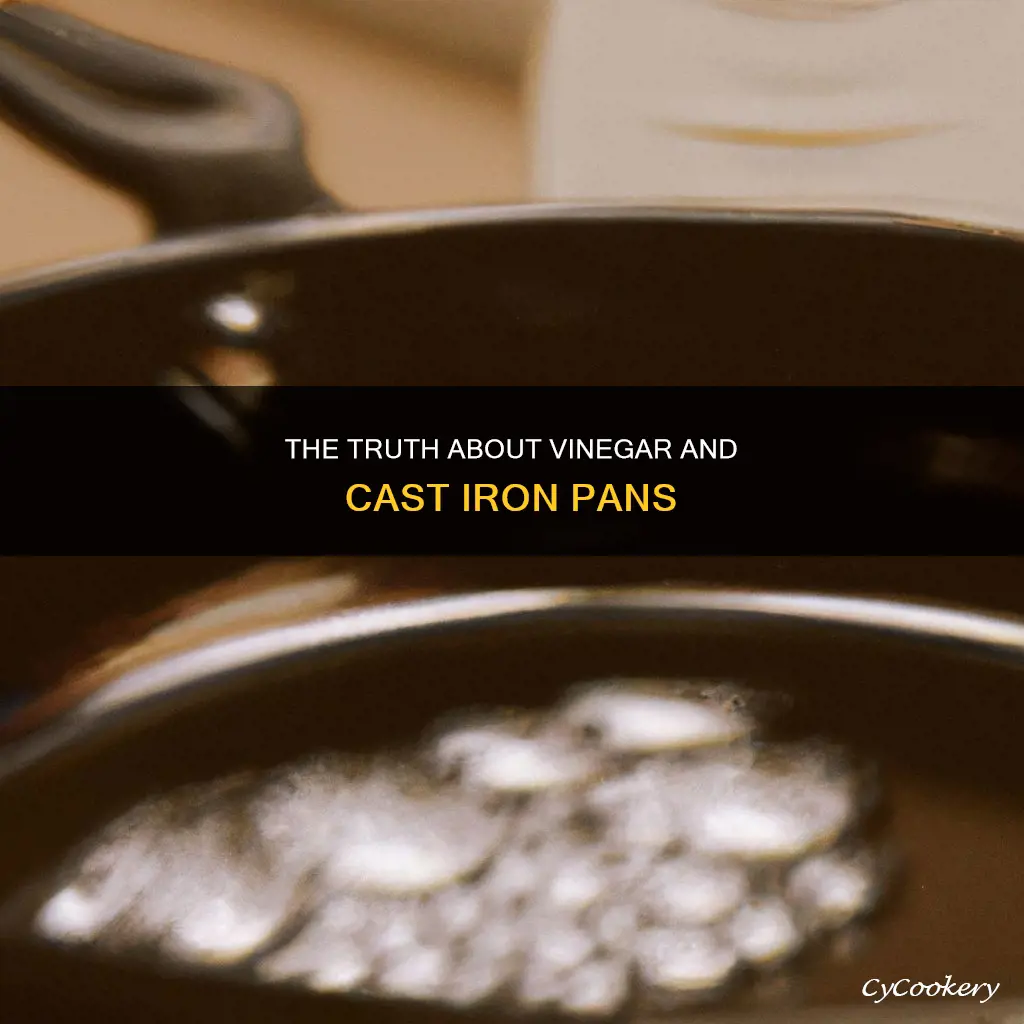 is vinagar bad for a.cast iron pan