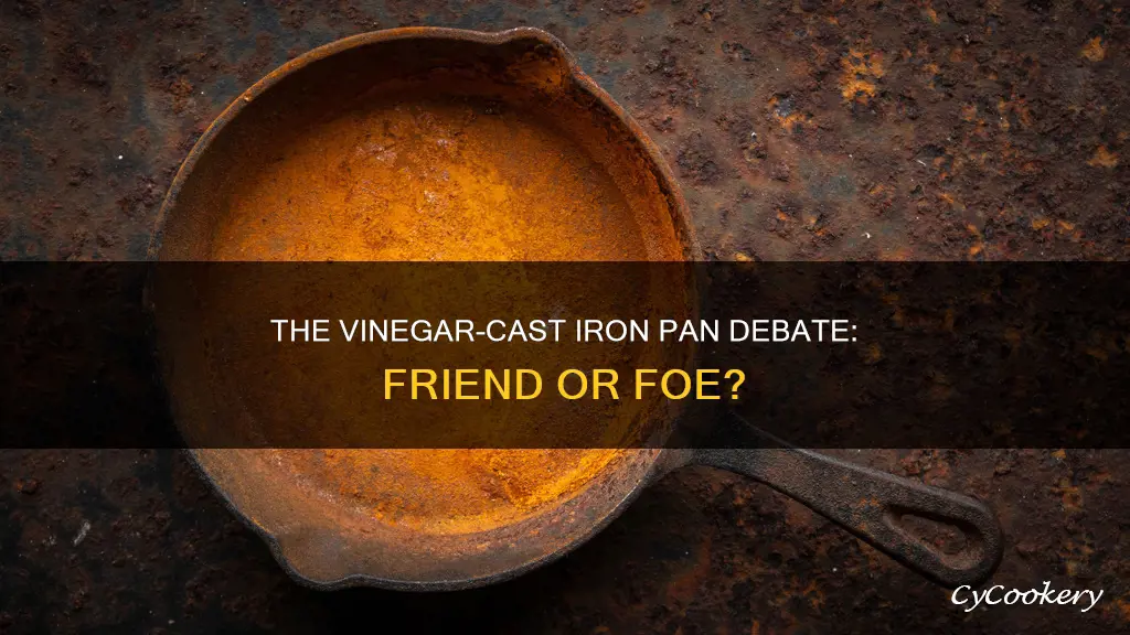 is vinegar okay in a cast iron pan