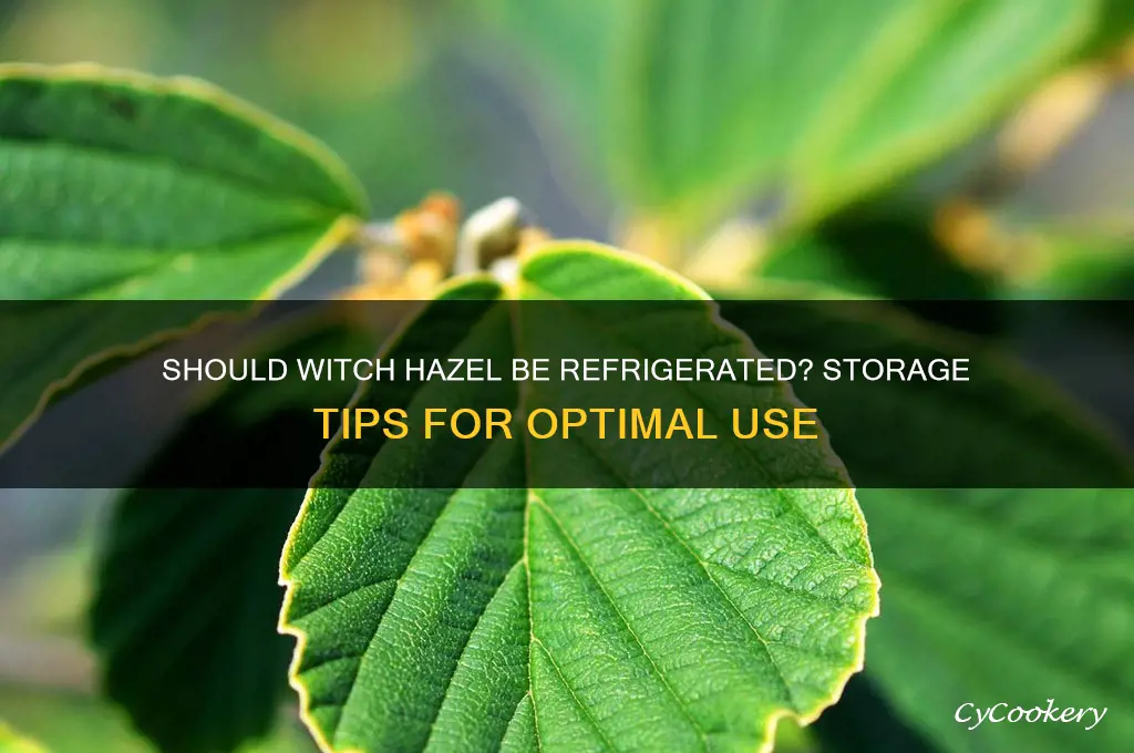 is witch hazel best stored in refrigerator