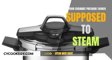 Steaming Confusion: Cuisinart Pressure Cooker's Unseen Feature