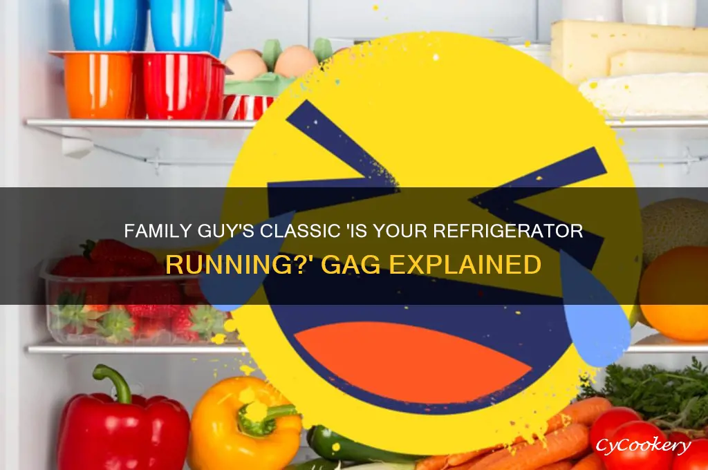 is your refrigerator running joke family guy