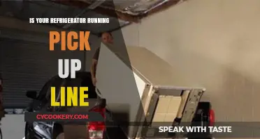 Is Your Refrigerator Running? The Cheesy Pick-Up Line's Surprising History