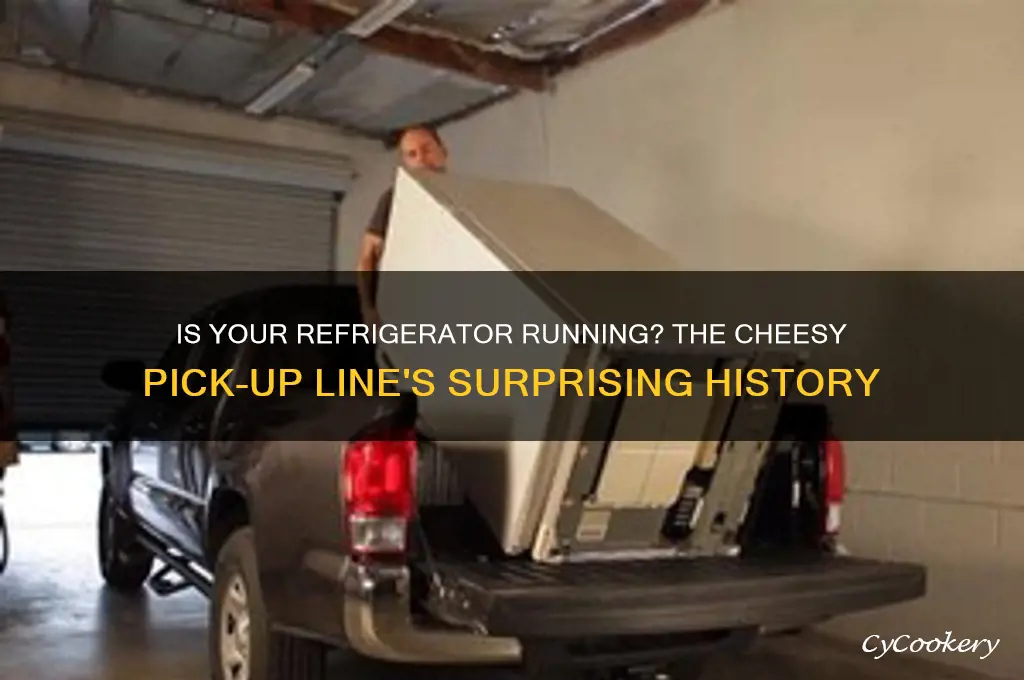 is your refrigerator running pick up line