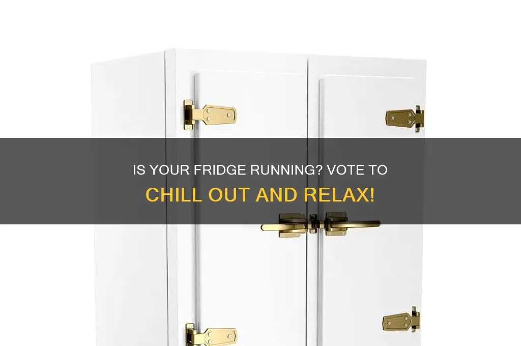 is your refrigerator running vote chill out
