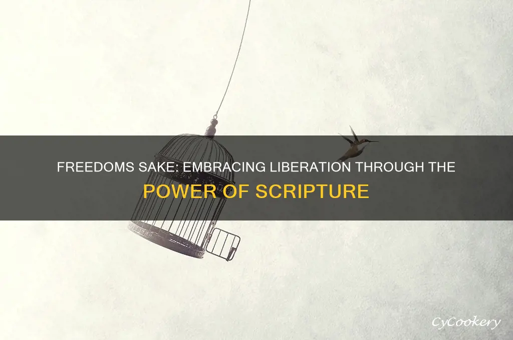 it was for freedoms sake you were set free verse