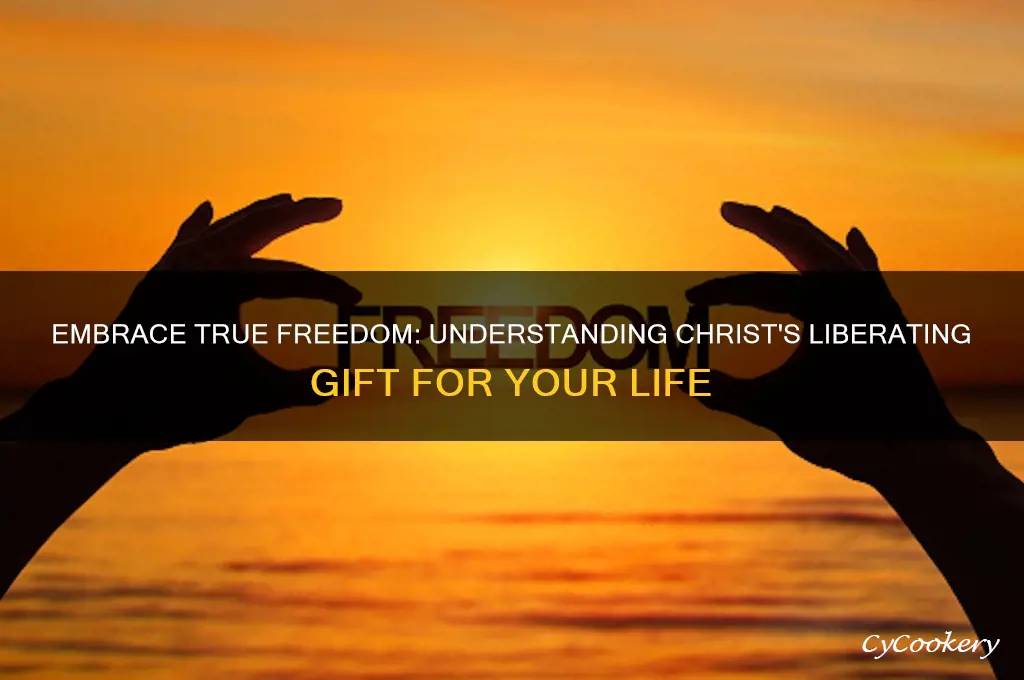 its for freedoms sake that hes set you free