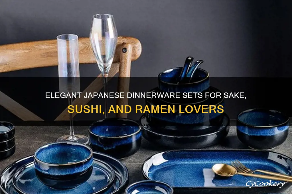 japanese dinnerware sake sushi ramen set
