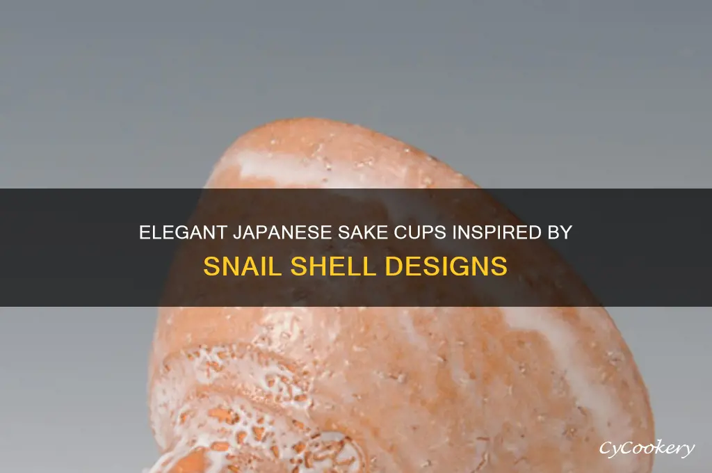 japanese sake cup snail shell