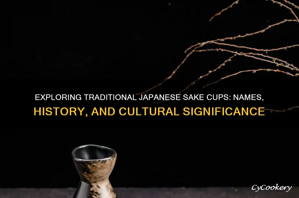 japanese sake cups name