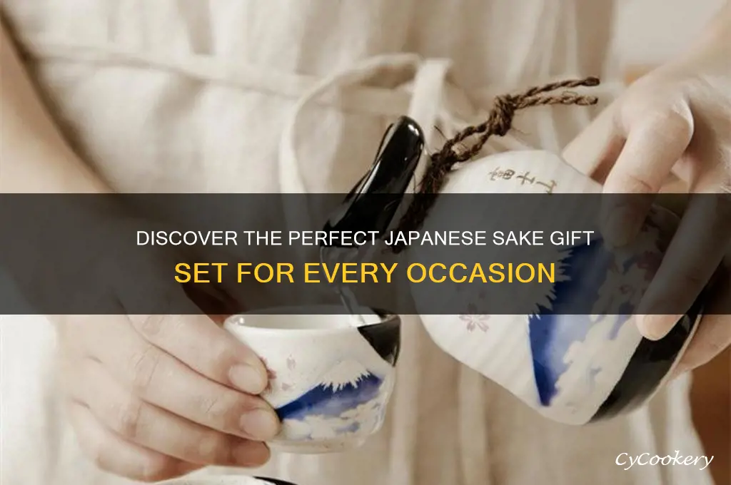 japanese sake gift set