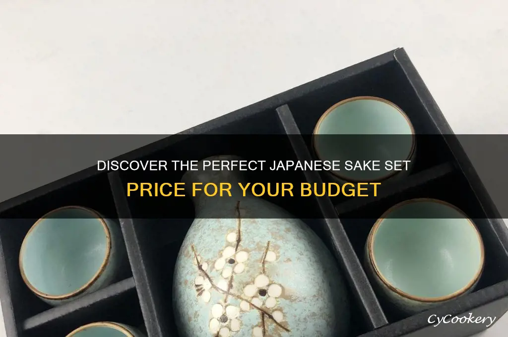 japanese sake set price